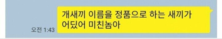 복돌이는 불법 같으니 정품으로 하자는 친구_2.jpg