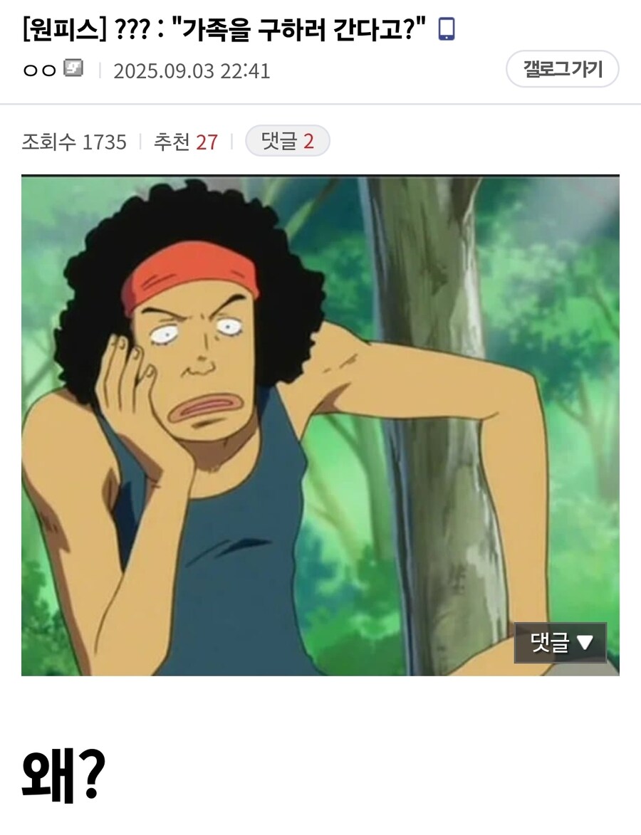 원피스 세계의 안전자산_1.jpg