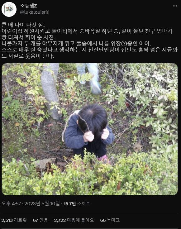 완벽한 위장_1.jpg