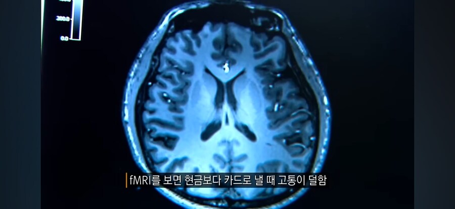 쓸데없는데 돈을 쓰게 되는 이유_22.jpg