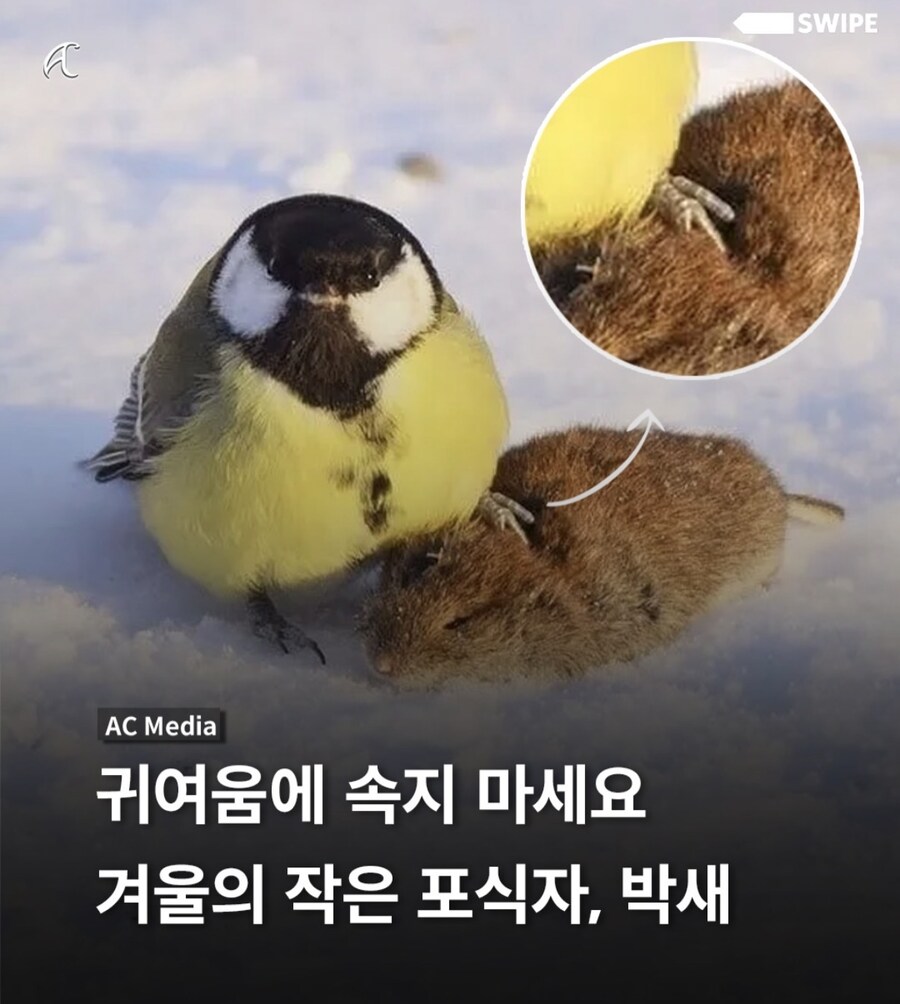 귀여움에 속지마세요_1.jpg