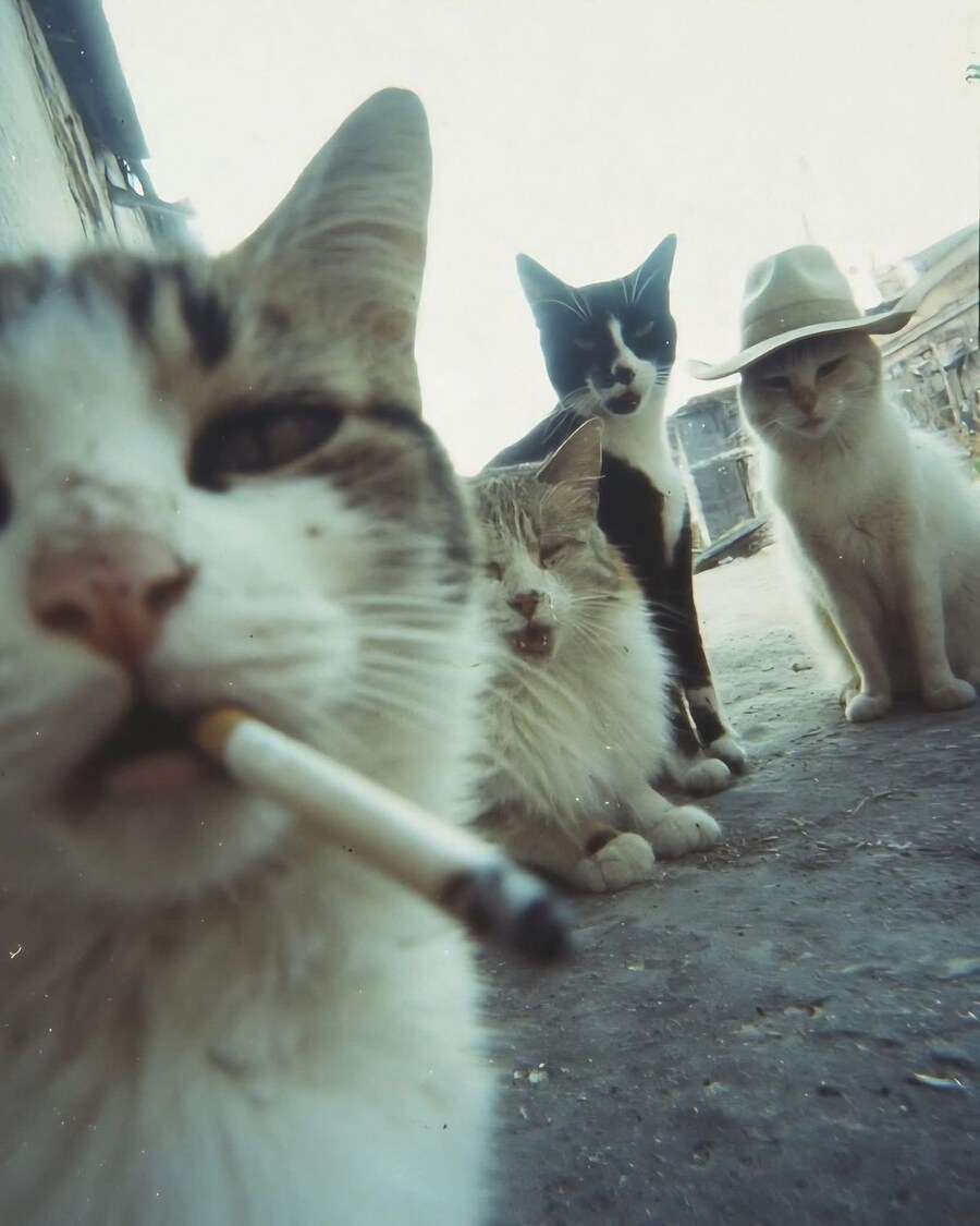 옛날 뒷골목 들어가면 볼 수 있던 풍경_1.jpg