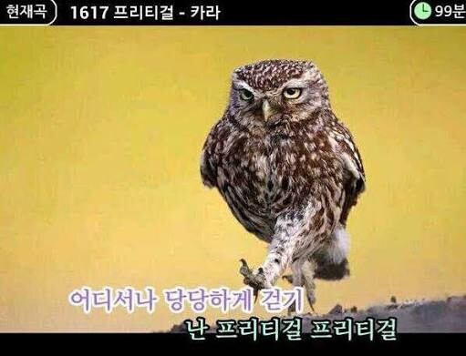 등산할때 가방이 필요할 경우 사용하는 방법_2.jpg