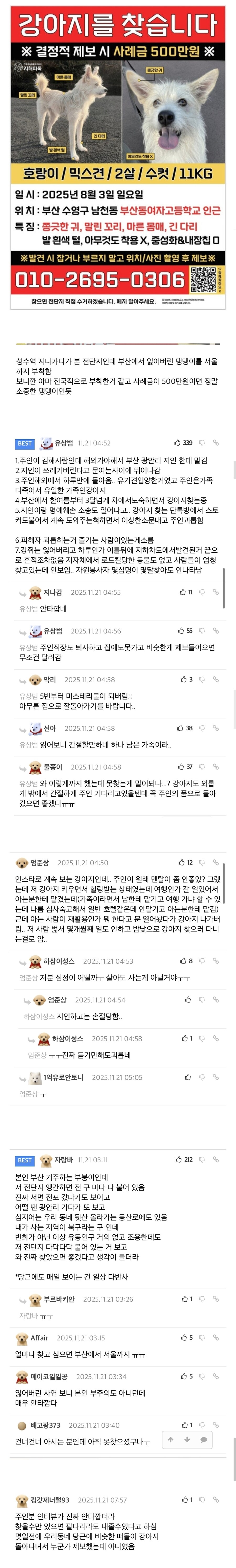 사례금 500만원 걸린 강아지_1.jpg