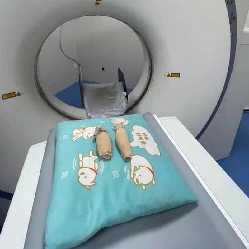 MRI 찍는 동물들_7.jpg