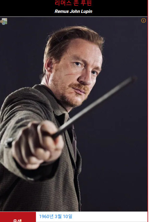 해리포터) 의외로 깡 하나는 작중 탑급인 인물_2.jpg