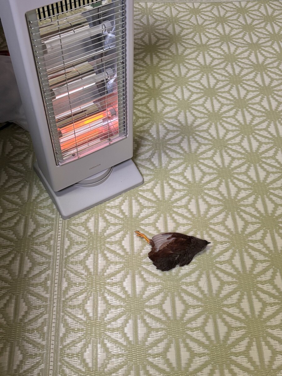 노릇노릇하게 익어가는 것.jpg_1.jpg