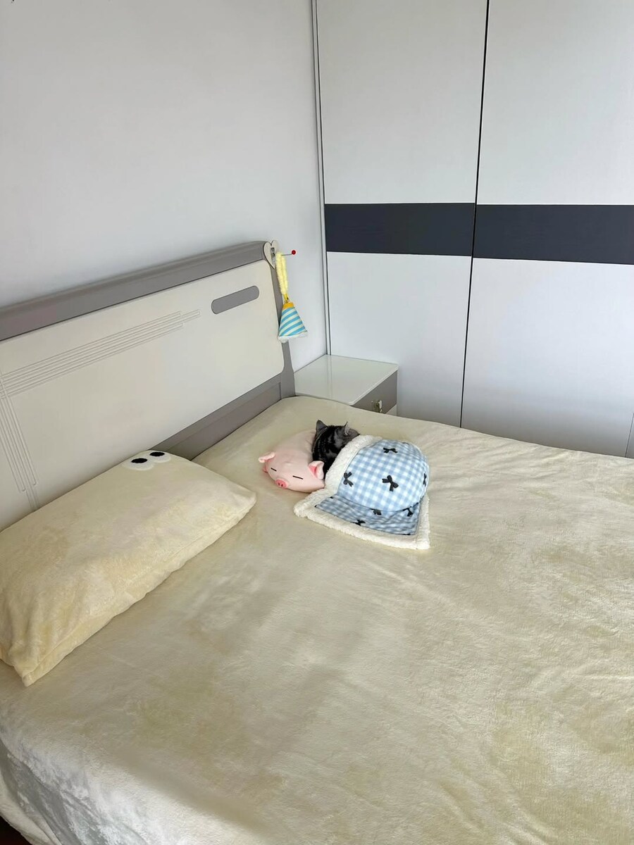 잠자는 귀요미 냐옹이..._2.jpg