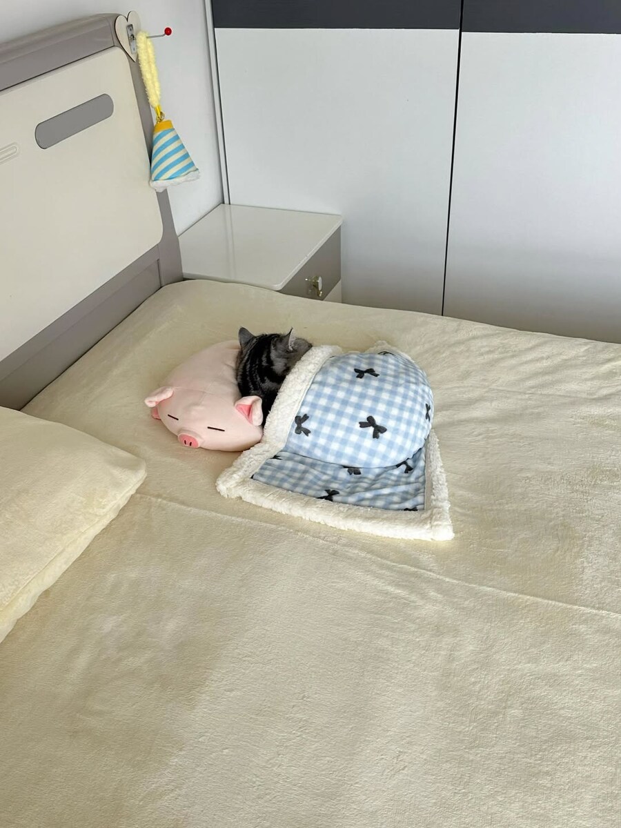 잠자는 귀요미 냐옹이..._3.jpg