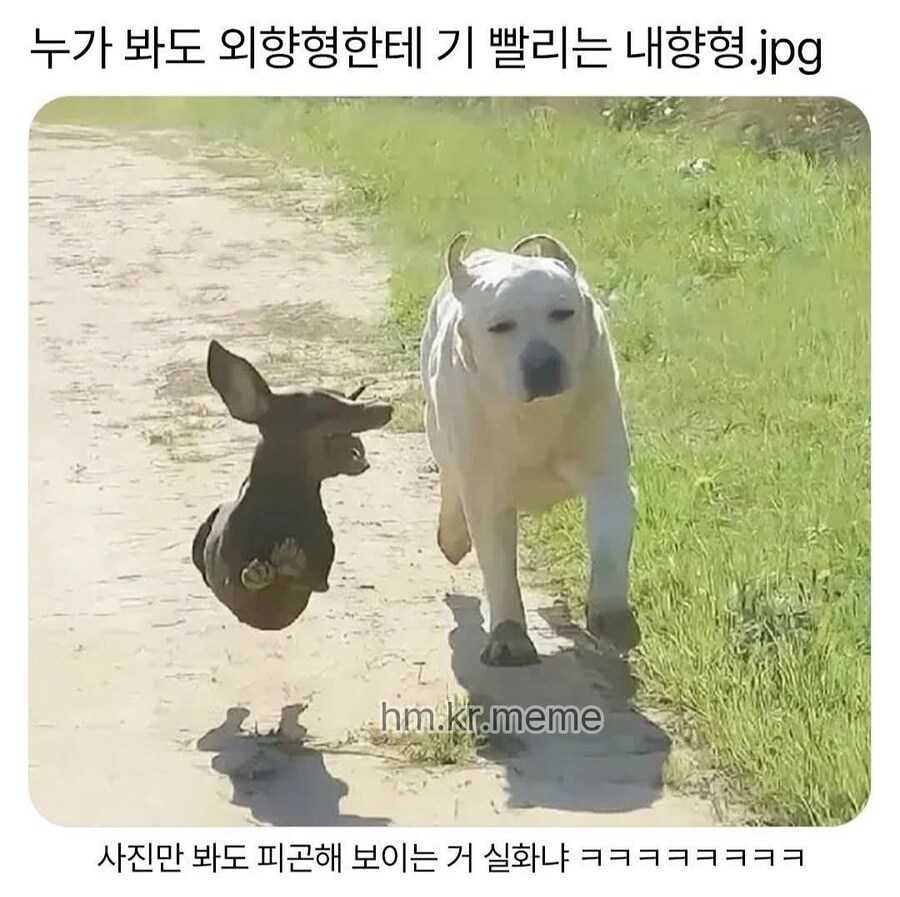 외향형한테 기 빨리는 내향형_1.jpg
