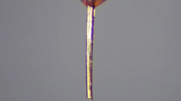 3D 프린팅 의외의 가성비 최고 부품_1.webp