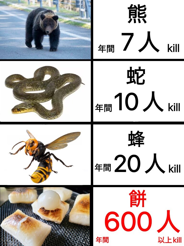 곰의 100배쯤 위험한 것_1.jpg