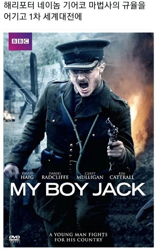 금기를 범한 해리포터_1.jpg