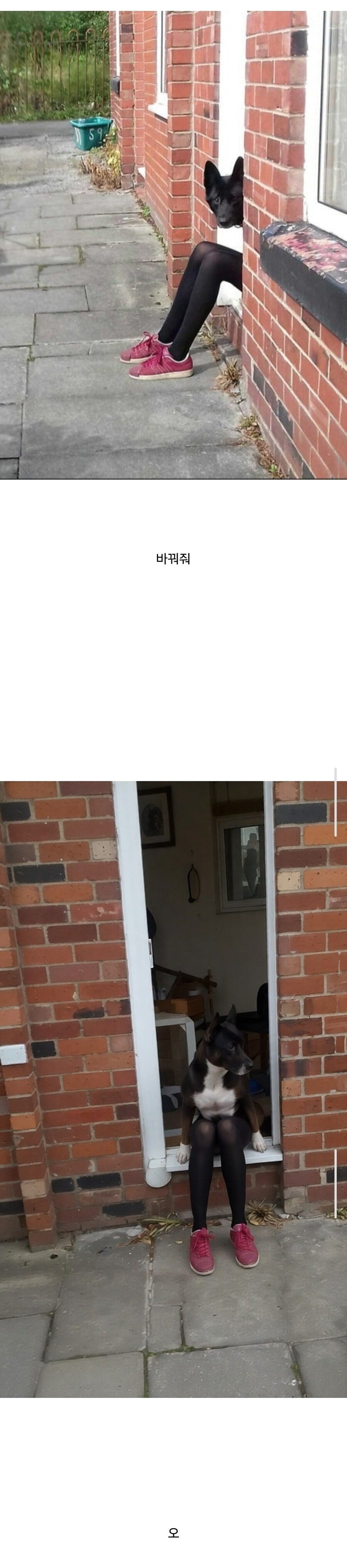 AI야 사진을 정면 각도로 보여줘.jpg_1.jpg