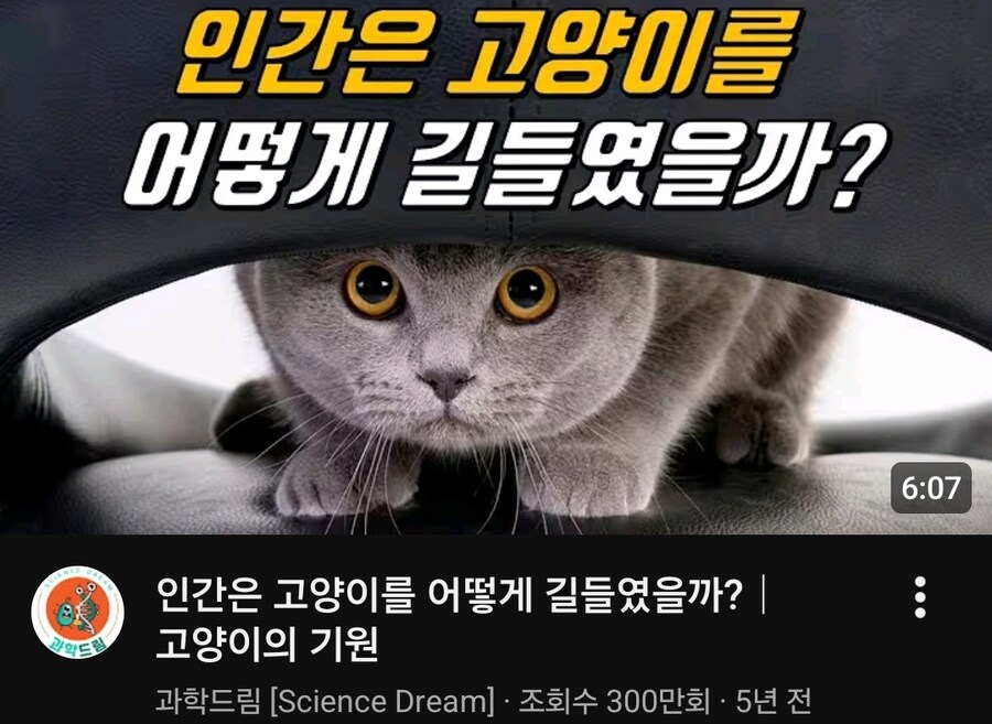 팩트가 이상한 과학유튜버.jpg_1.jpg