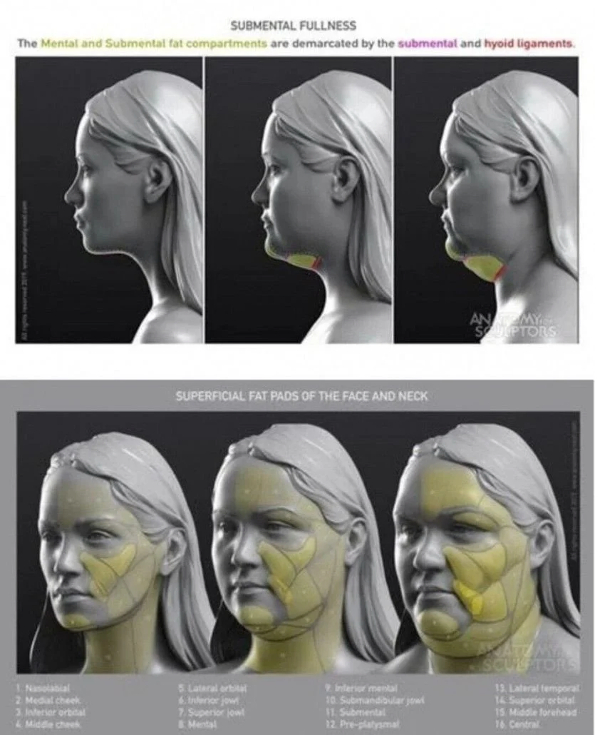 살찌면 못생겨 지는 이유_1.webp