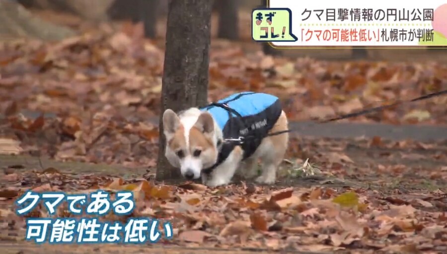 열도 방송의 적절한 자막.jpg_1.jpg