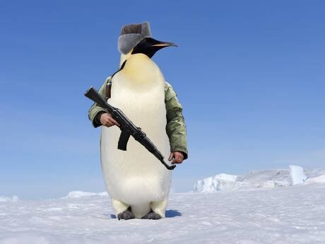 남극의 셰프에서 실망이었던 점_3.jpg