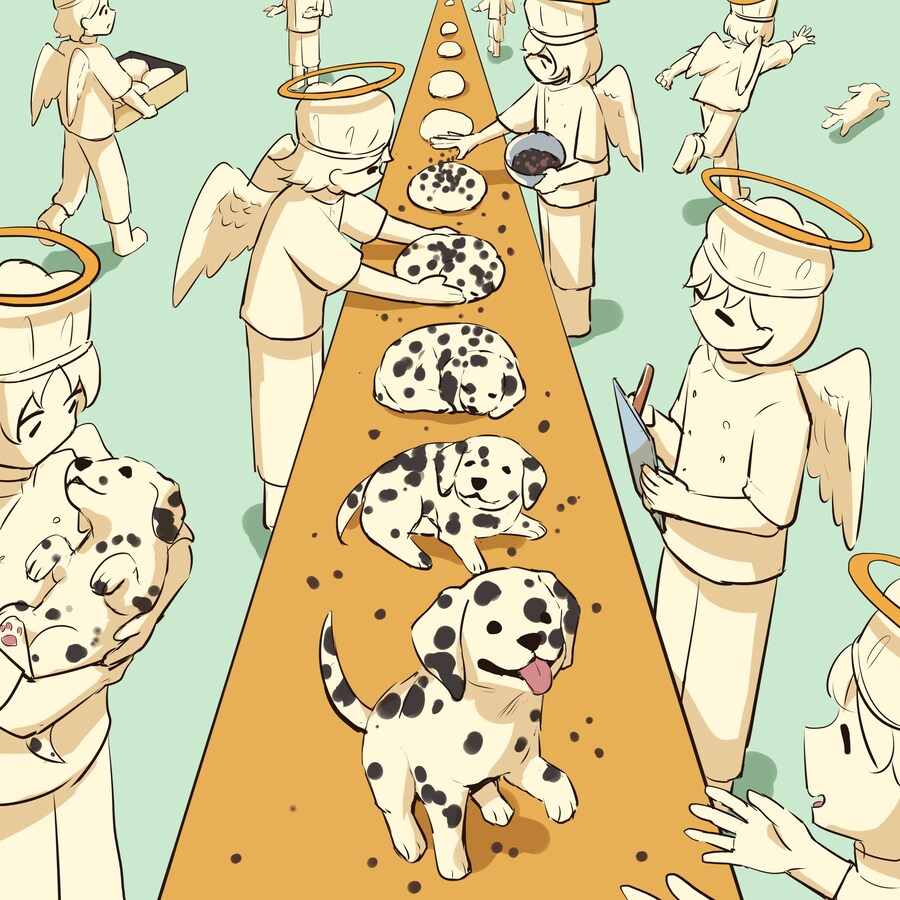 달마시안 탄생 과정.jpg_1.jpg