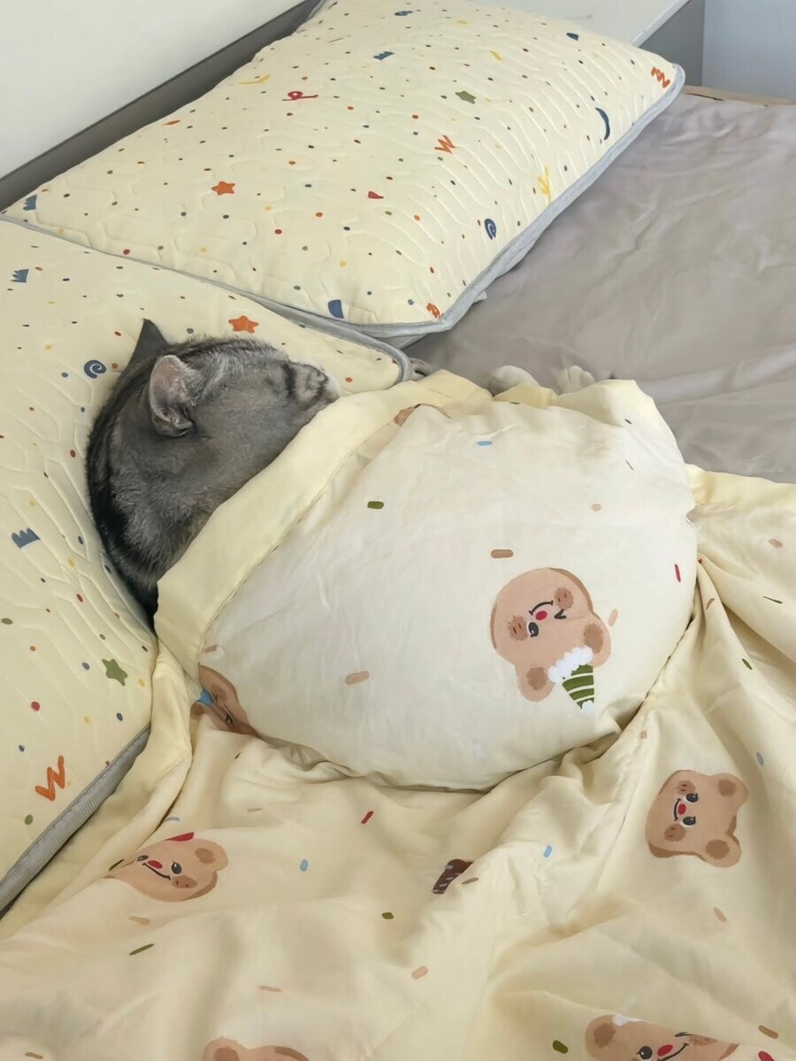 잠자는 귀요미 뚠냥이..._9.jpg