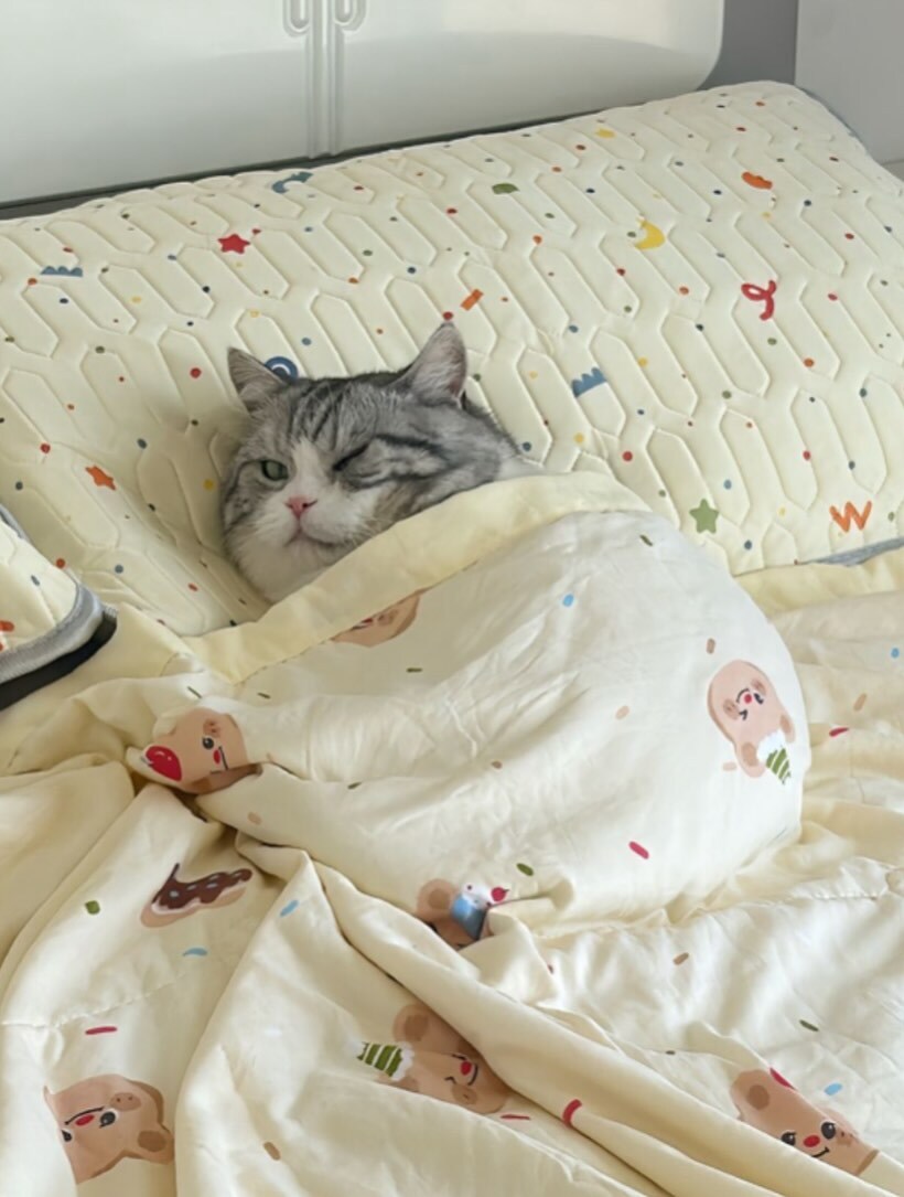 잠자는 귀요미 뚠냥이..._13.jpg