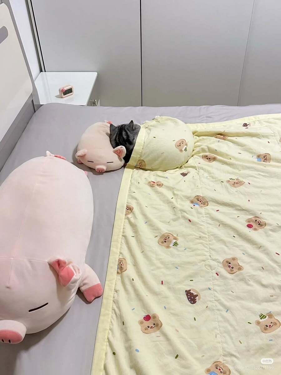 잠자는 귀요미 뚠냥이..._15.jpg