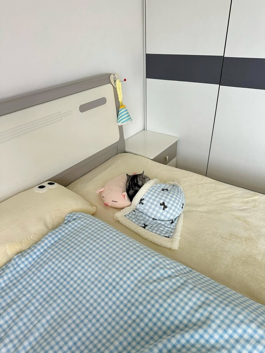 잠자는 귀요미 뚠냥이..._17.jpg