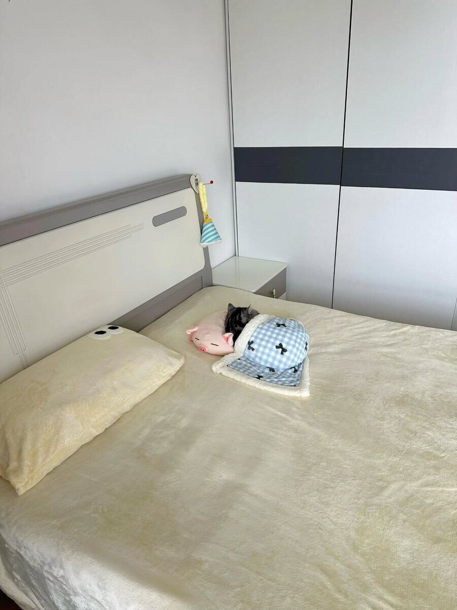 잠자는 귀요미 뚠냥이..._18.jpg