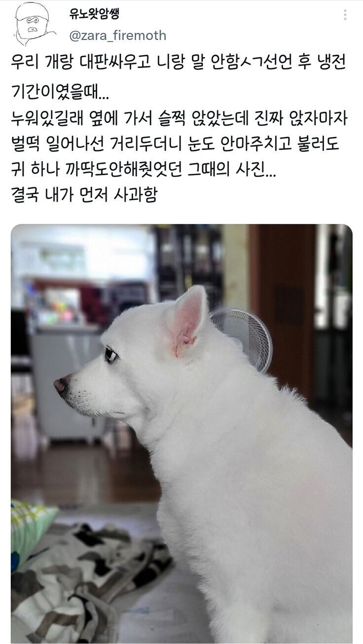 나랑 대판 싸우고 삐진 멍뭉이.jpg_1.jpg