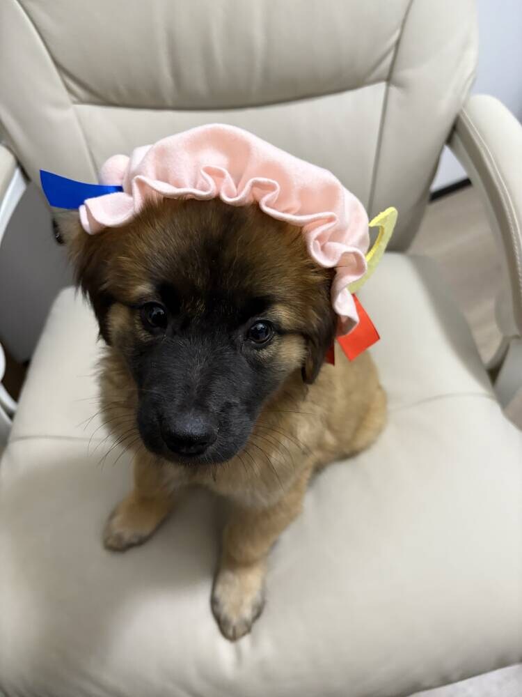 이게 술먹고 알몸된 대마법사임_1.jpg