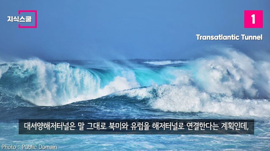 우리 모두 자연사 하기 직전까지 보기 힘든거_1.jpg