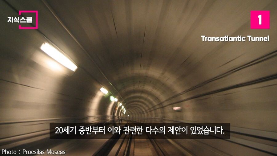 우리 모두 자연사 하기 직전까지 보기 힘든거_2.jpg