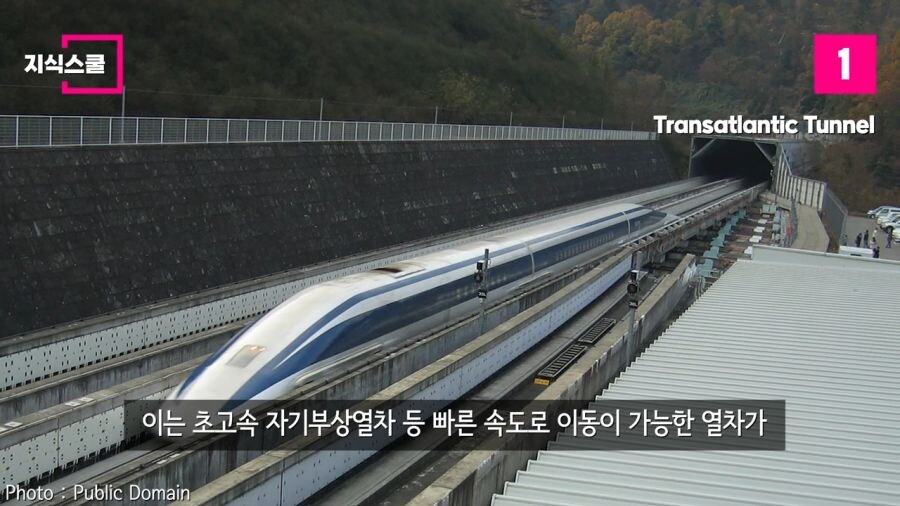 우리 모두 자연사 하기 직전까지 보기 힘든거_3.jpg