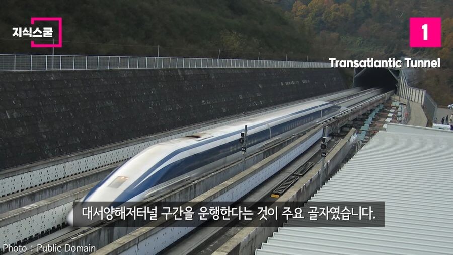 우리 모두 자연사 하기 직전까지 보기 힘든거_4.jpg