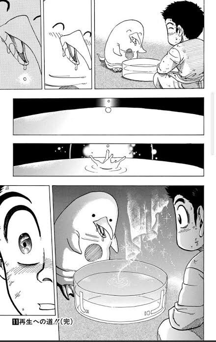 남극탐험대가 펭귄 잡은 이유 드디어 찾아냈다._1.jpg