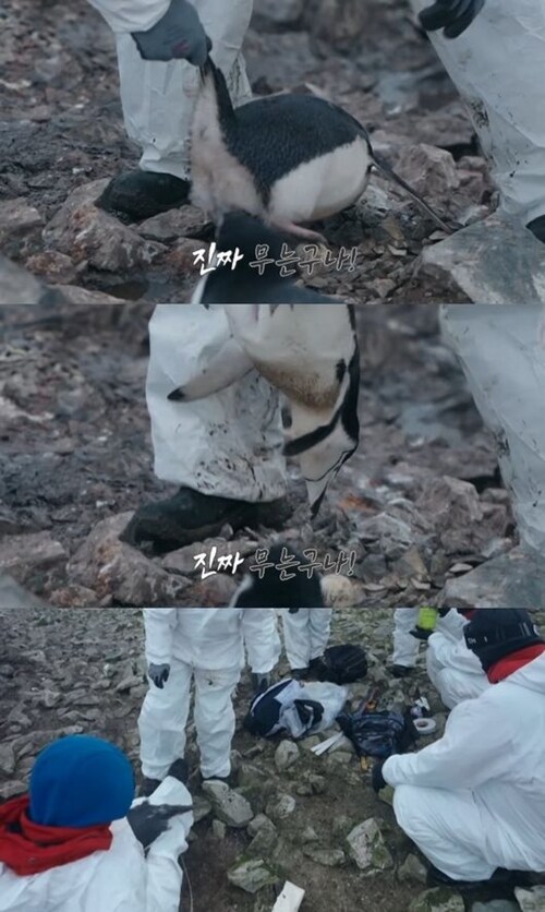 옆나라에도 올라왔다_1.png