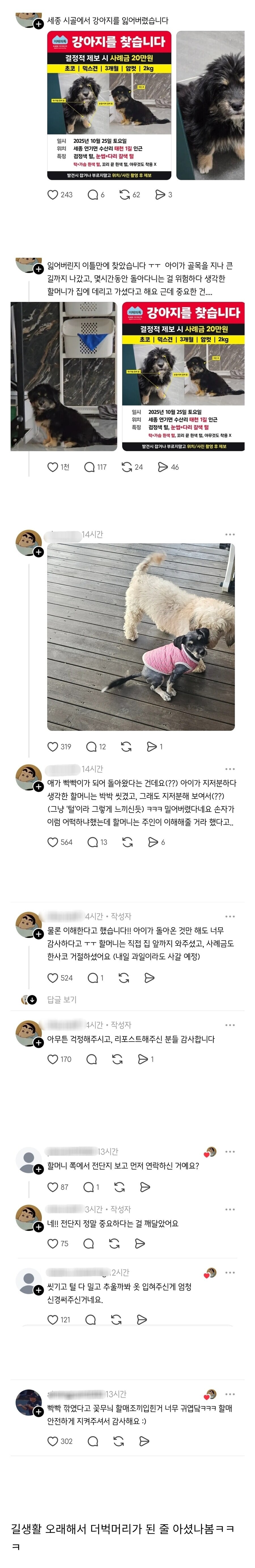 잃어버린 강아지 찾았는데 빡빡이가 되어 돌아옴._1.jpg