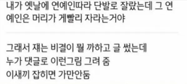 ? : 연예인은 머리 빨리 자라는 비결이 뭐지?_1.png