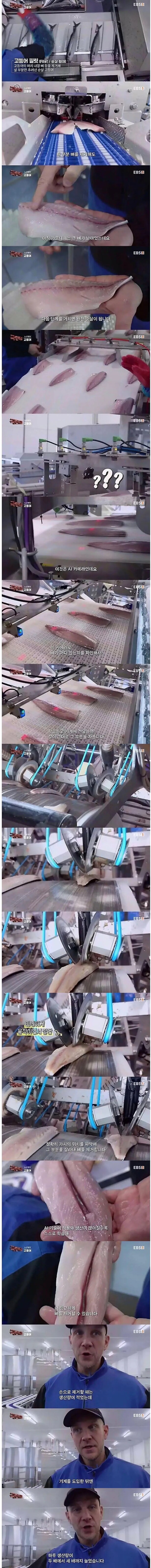 노르웨이 순살 고등어의 비밀_1.png