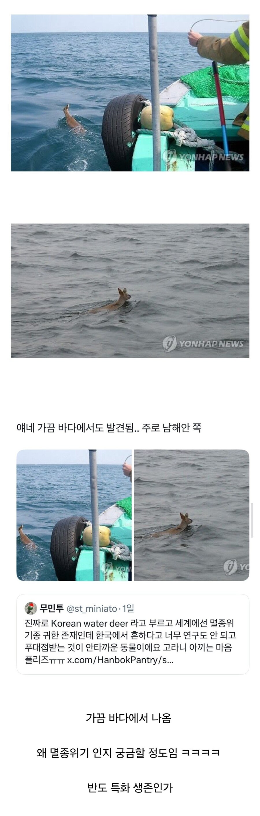 가끔 바다에서도 보이는 생물...._1.jpg