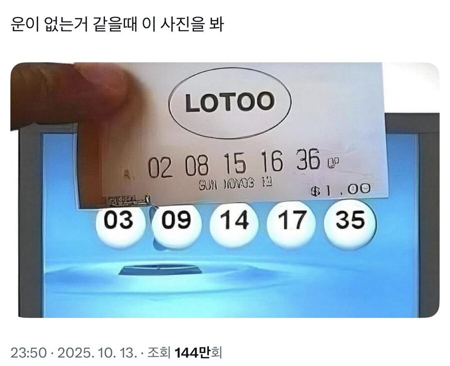 운이 없다고 생각될 때 보면 좋은 사진_1.jpg