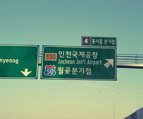 시체 육회, 인육 가공 공장, 동시 흥분_4.jpg