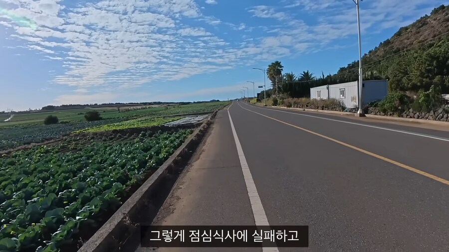 제주도의 어느 어메이징한 식당.jpg_17.png