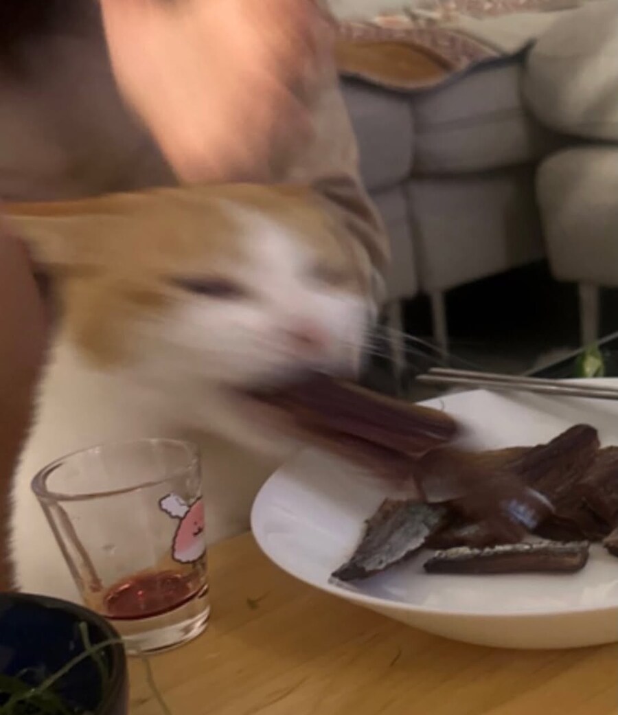 과메기 먹을 때 조심 해야 하는 것_1.jpg