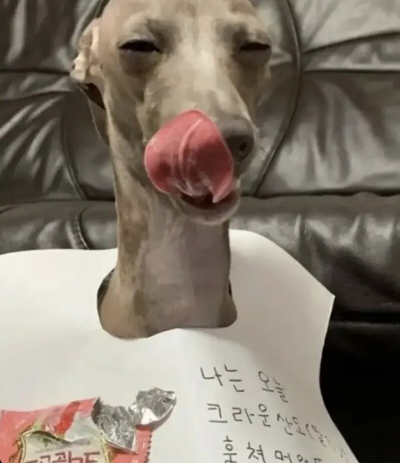 전혀 후회란 없는 표정_2.png