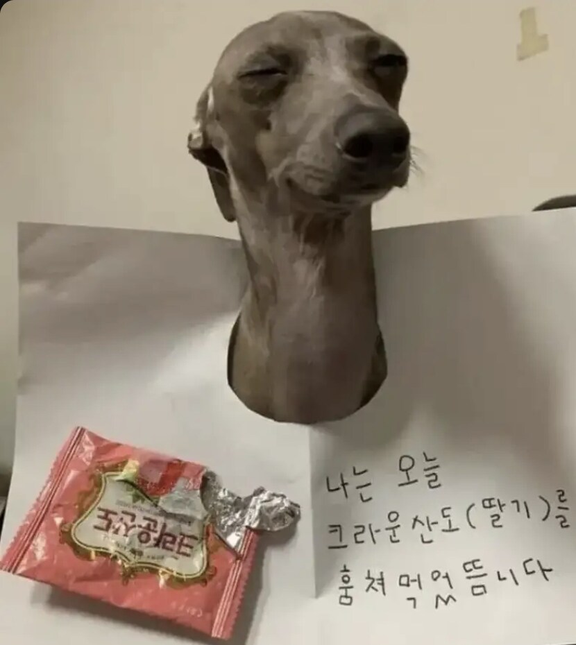 전혀 후회란 없는 표정_1.png