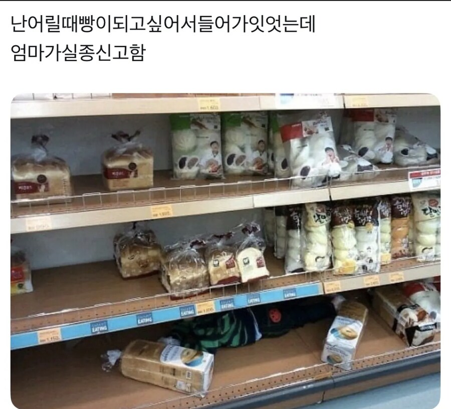 빵이 되고 싶었던 아들_1.png