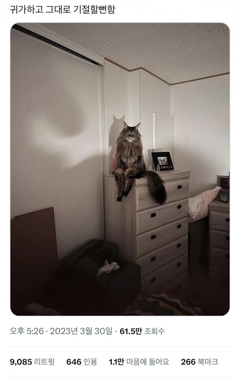 귀가하고 그대로 기절할뻔함_1.jpg