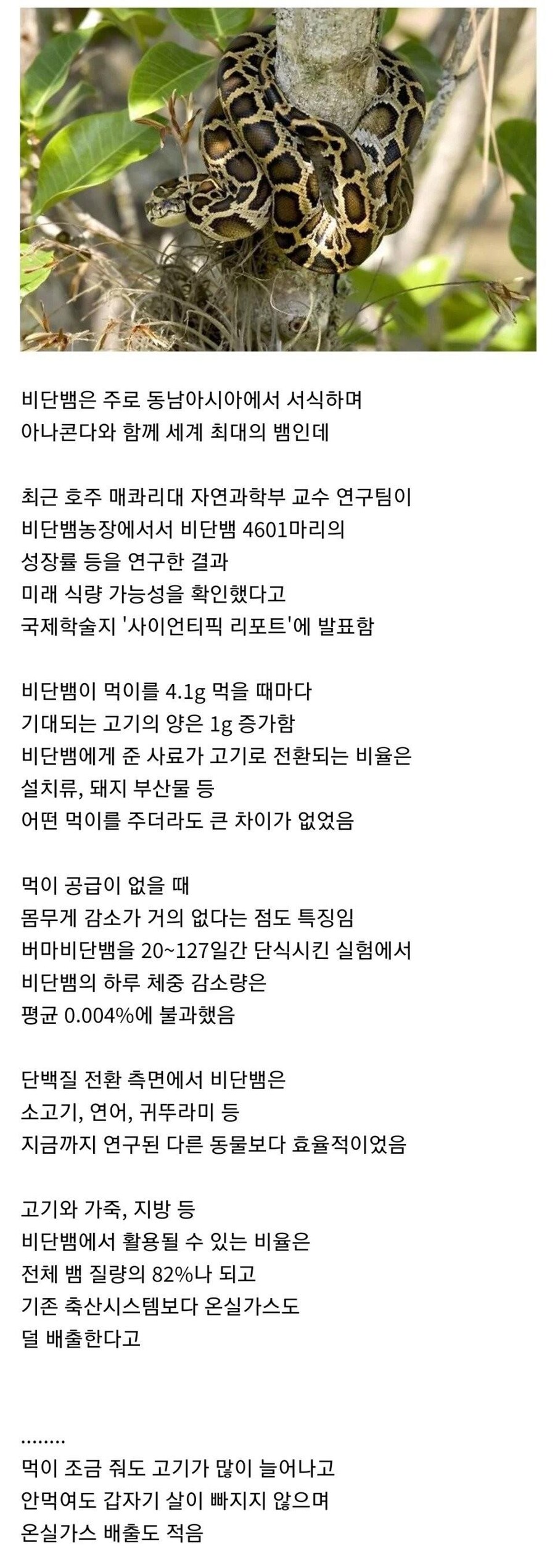 미래 식량으로 주목받는 것_1.jpg