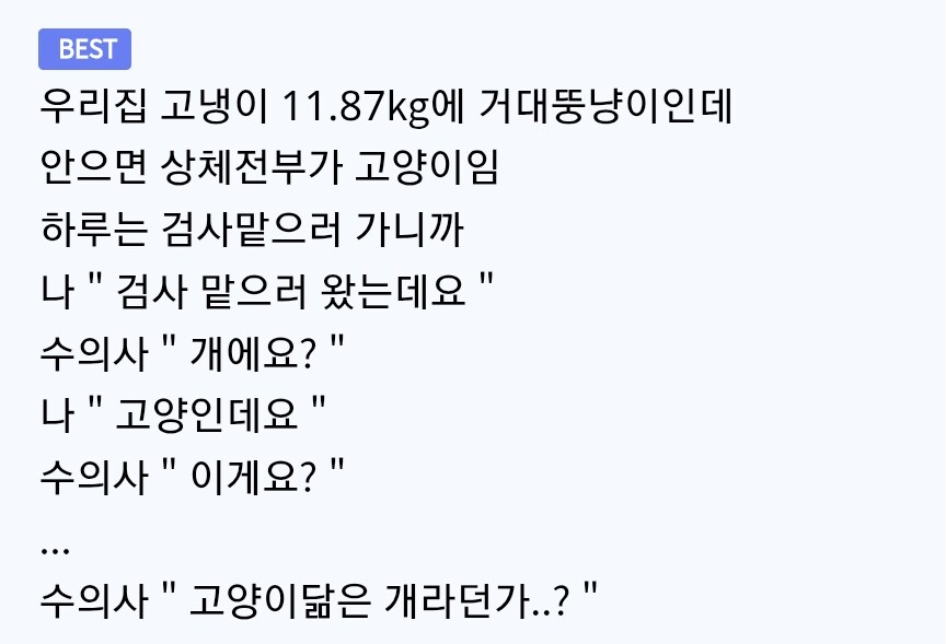 수의사에게 들었던 충격적인 말_2.png